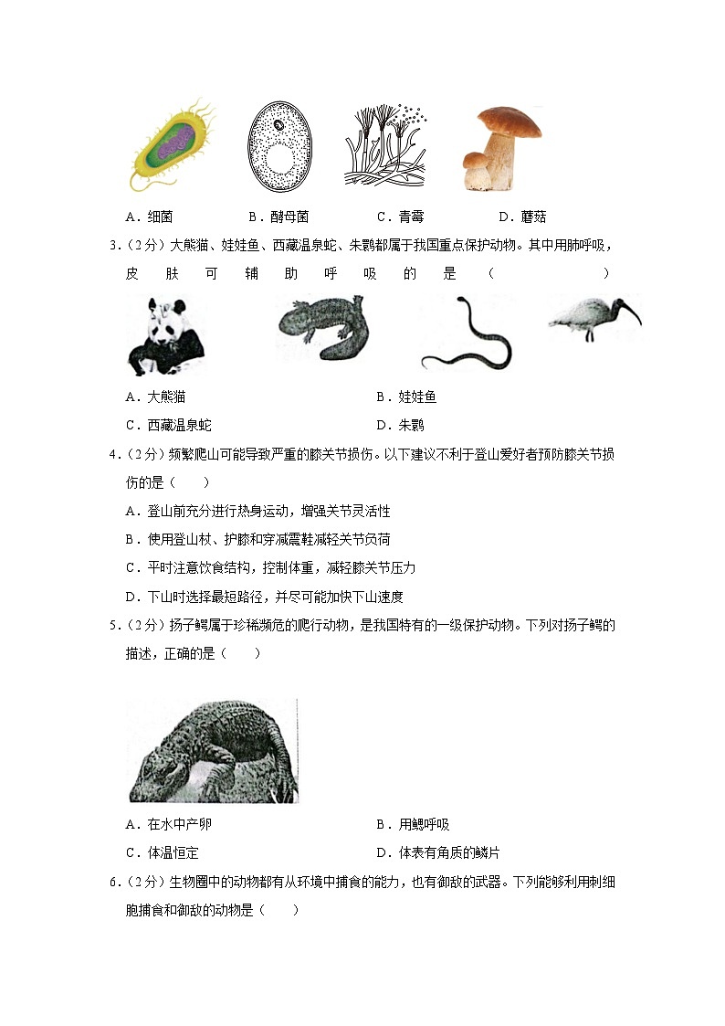 湖北省荆楚初中名校联盟2023-2024学年八年级上学期期中生物试卷（A卷）02