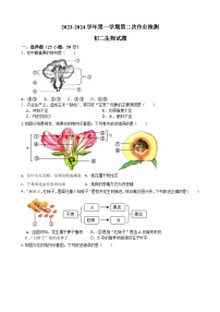 山东省齐河县表白寺镇中学2023-2024学年八年级上学期第二次月考生物试题