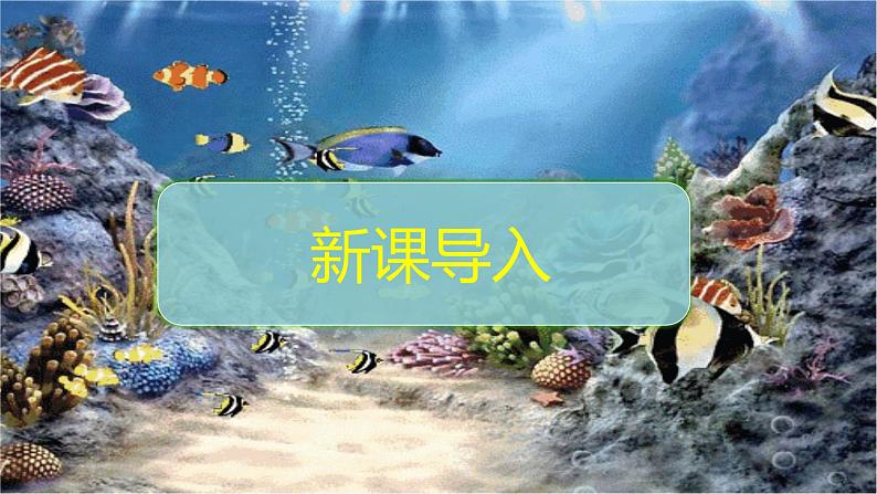 23.2《生态系统概述》课件第3页