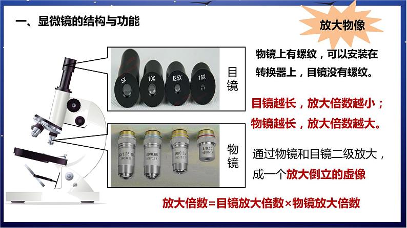 2.《生物体的结构层次》课件第3页