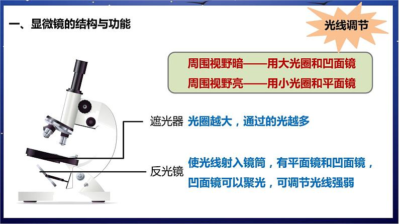 2.《生物体的结构层次》课件第5页