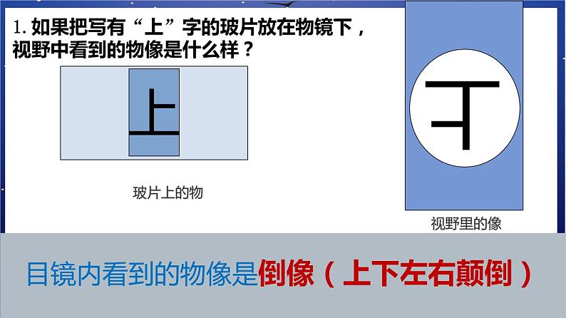 2.《生物体的结构层次》课件第8页