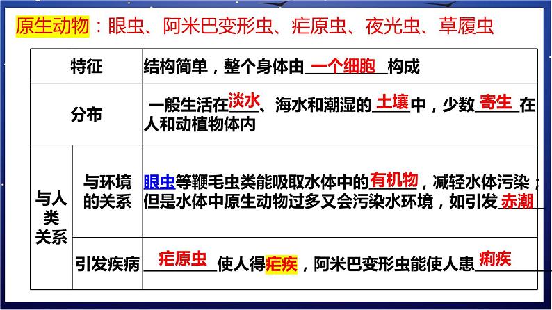 3. 《生物圈中的绿色植物》课件07