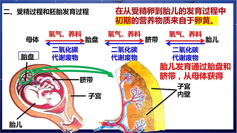 5.《人体的营养》课件第5页