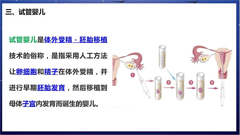 5.《人体的营养》课件第6页