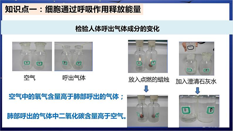 7.《人体的能量供应》课件第2页