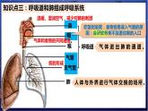 7.《人体的能量供应》课件