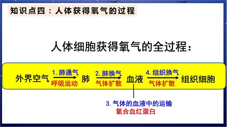 7.《人体的能量供应》课件第7页