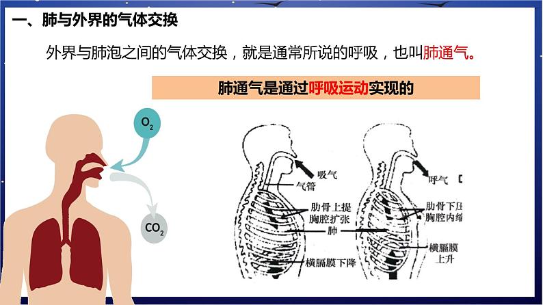 7.《人体的能量供应》课件第8页