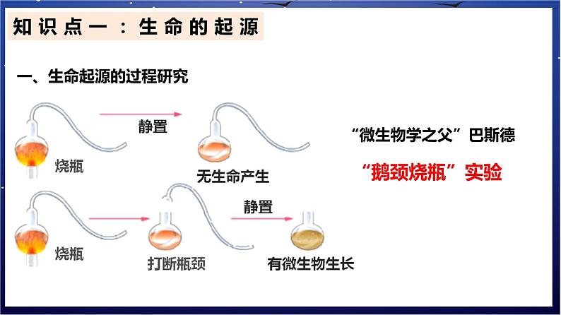 9.《生命的起源和生物的进化》课件第2页