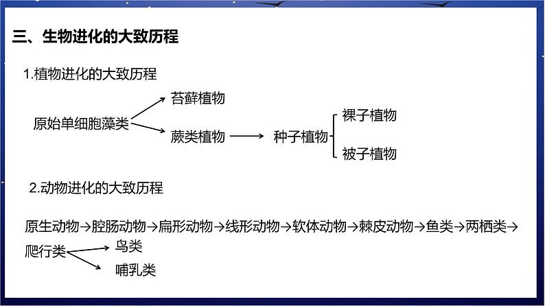 9.《生命的起源和生物的进化》课件第7页