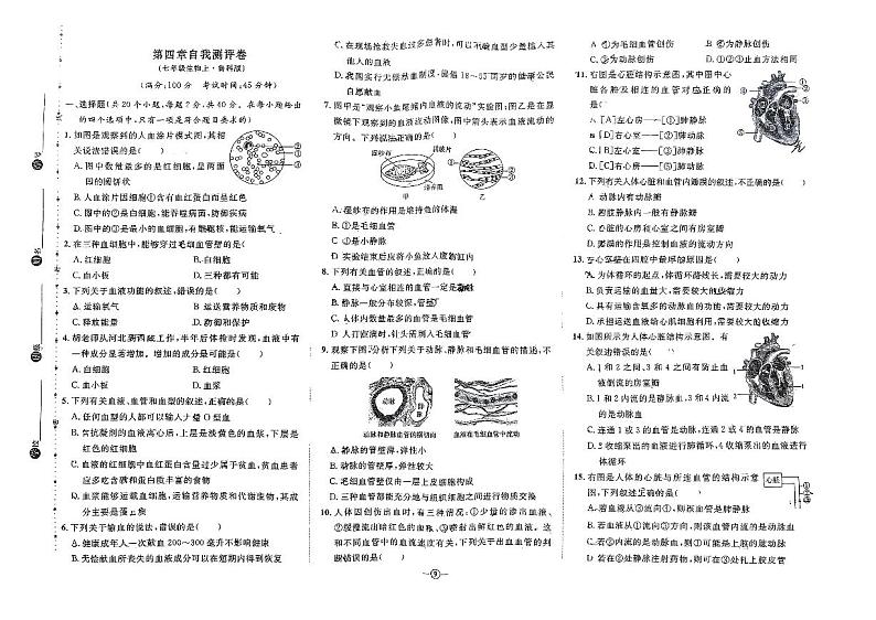 山东省淄博市淄川实验中学2023-2024学年七年级上学期12月月考生物试题01