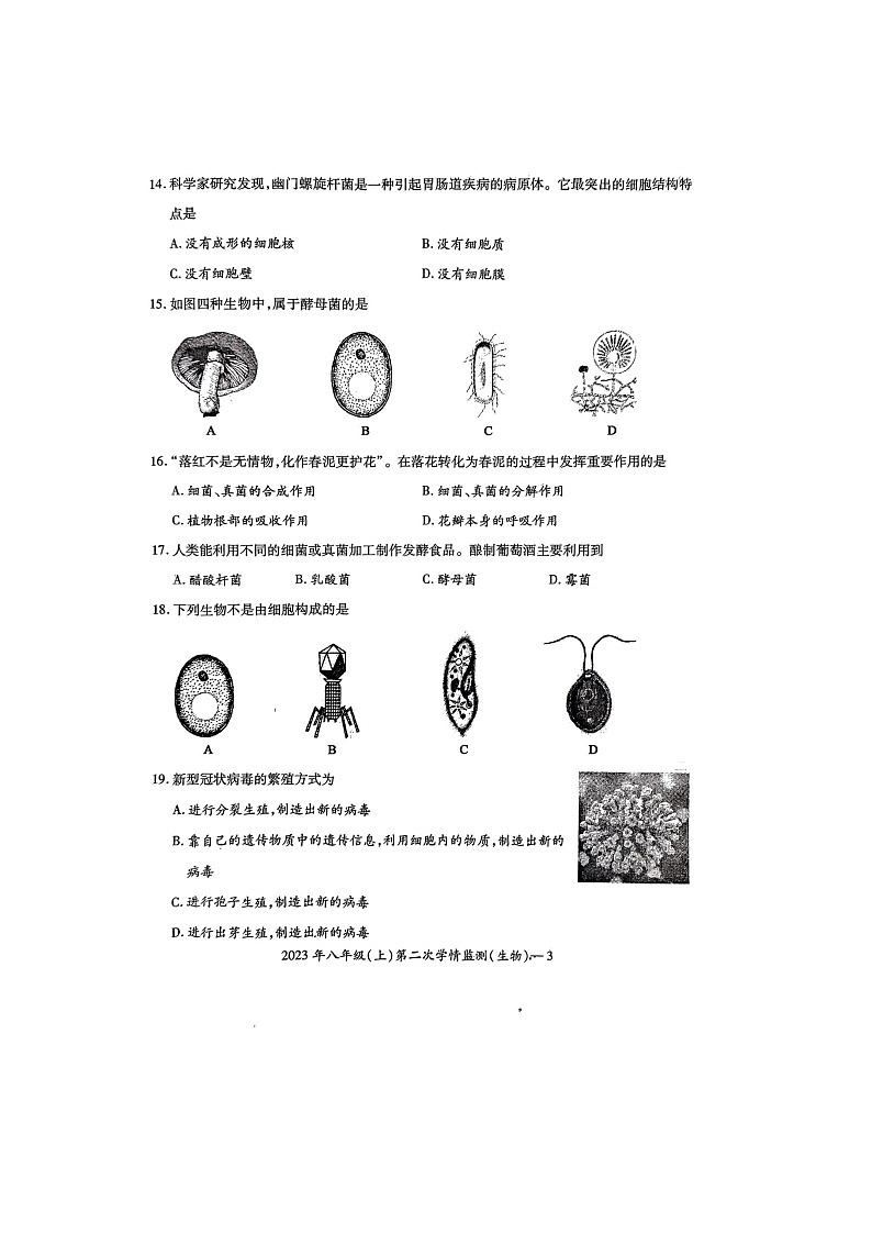 湖南省邵阳市新宁县水庙镇联校2023-2024学年八年级上学期第二次生物月考试卷第3页