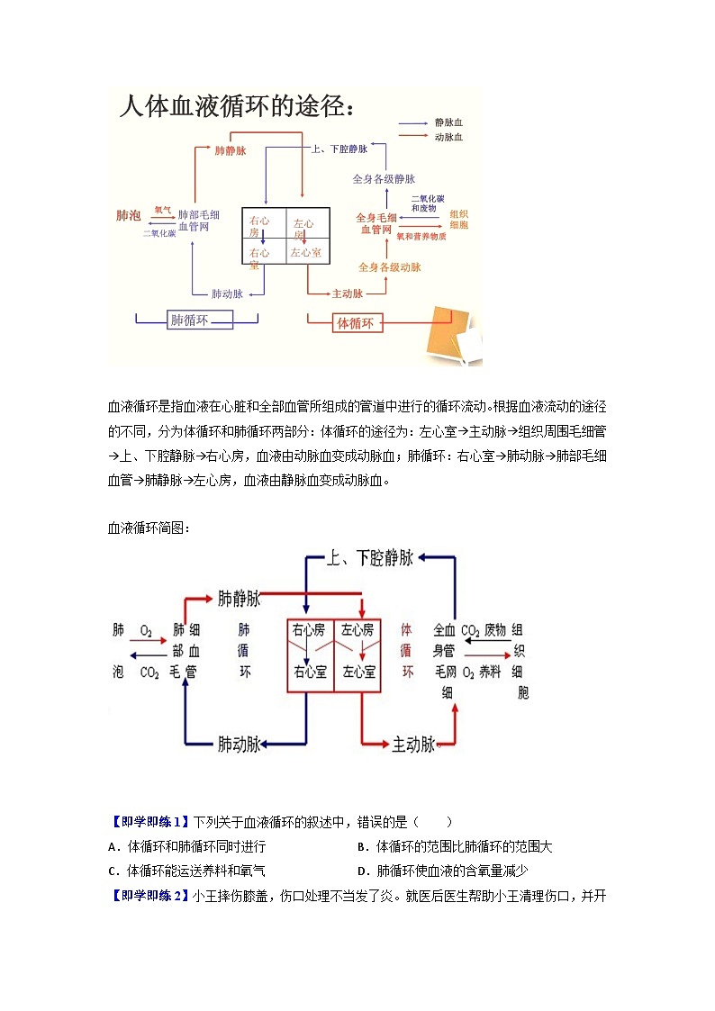 4.3 输送血液的泵——心脏（学生版）-七年级下册生物同步精品讲义（人教版 ）03