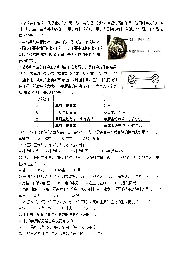四川省自贡市荣县中学2023-2024学年七年级上学期第三次月考生物试卷02