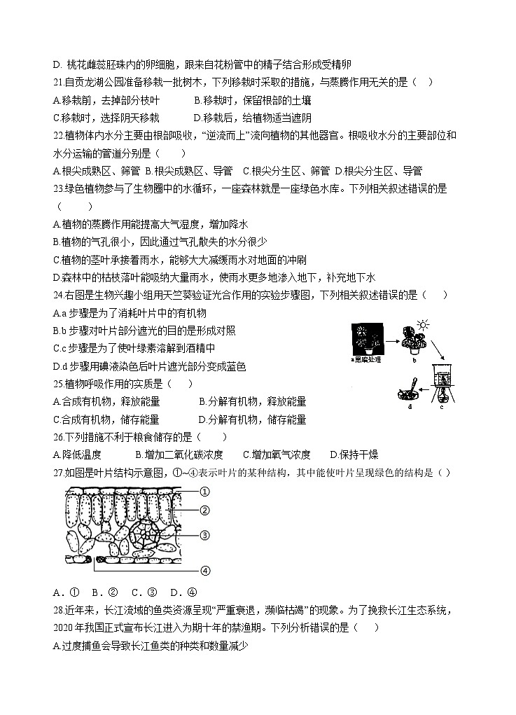 四川省自贡市荣县中学2023-2024学年七年级上学期第三次月考生物试卷03