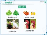 人教版八下生物  7.2.1 基因控制生物的性状 课件+教案+分层练习+导学案