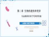 人教版八下生物  7.2.2 基因在亲子代间的传递 课件+教案+分层练习+导学案