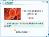 人教版八下生物  7.2.2 基因在亲子代间的传递 课件+教案+分层练习+导学案