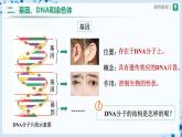 人教版八下生物  7.2.2 基因在亲子代间的传递 课件+教案+分层练习+导学案