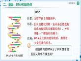 【人教版】八下生物  7.2.2 基因在亲子代间的传递（课件+教案+导学案+分层练习）