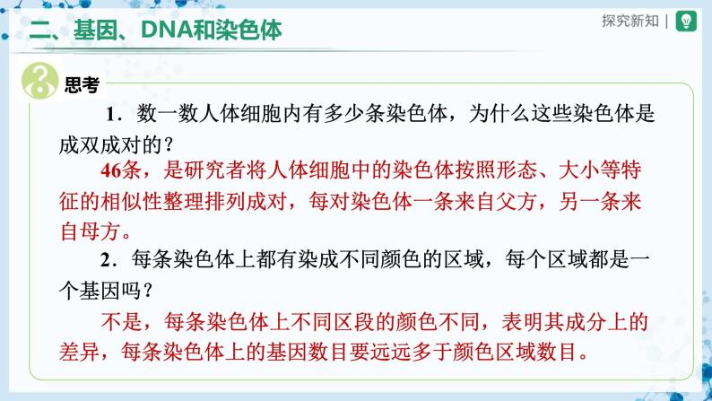 【人教版】八下生物  7.2.2 基因在亲子代间的传递（课件+教案+导学案+分层练习）08