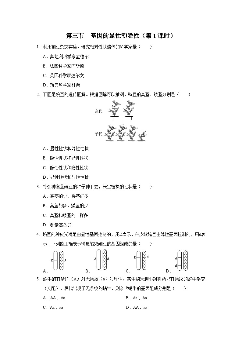 人教版八下生物  7.2.3 基因的显性和隐性（第1课时） 课件+教案+分层练习+导学案01