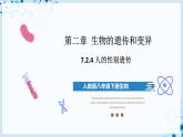 人教版八下生物  7.2.4 人的性别遗传 课件+教案+分层练习+导学案