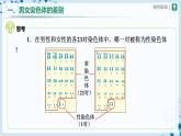 人教版八下生物  7.2.4 人的性别遗传 课件+教案+分层练习+导学案