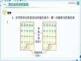 【人教版】八下生物  7.2.4 人的性别遗传（课件+教案+导学案+分层练习）