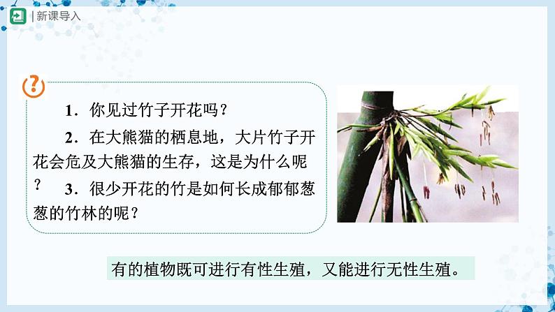 人教版八下生物  7.1.1 植物的生殖 课件+教案+分层练习+导学案03