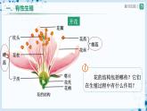 【人教版】八下生物  7.1.1 植物的生殖（课件+教案+导学案+分层练习）