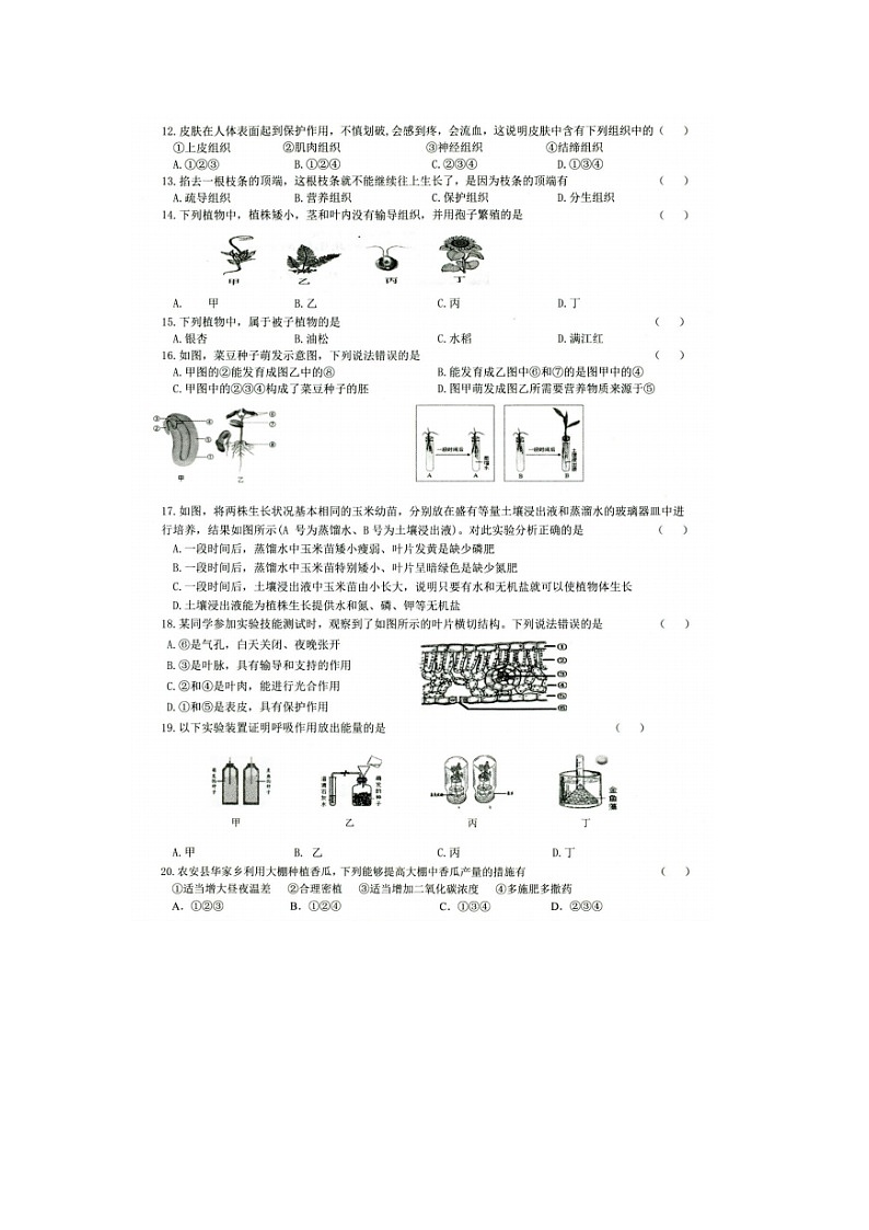 吉林省长春市农安县2023一2024学年七年级上学期期末学情调研生物试卷02