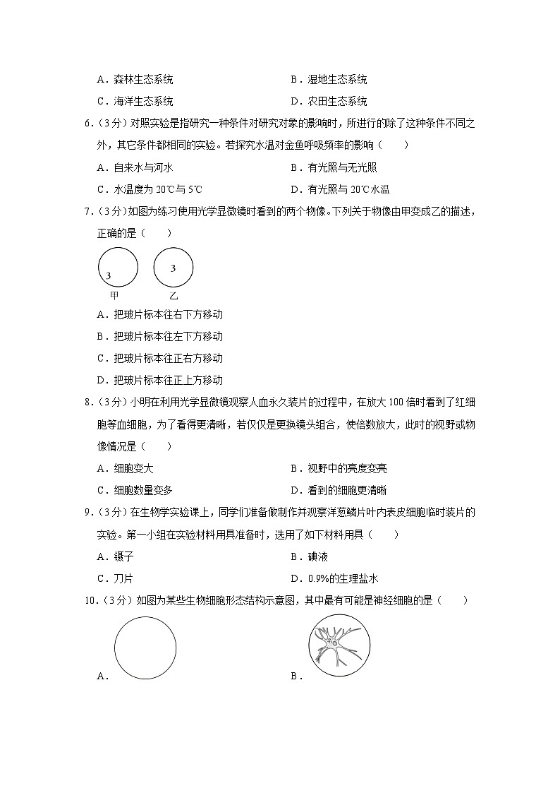广西贺州市昭平县2023-2024学年七年级上学期期中生物试卷02