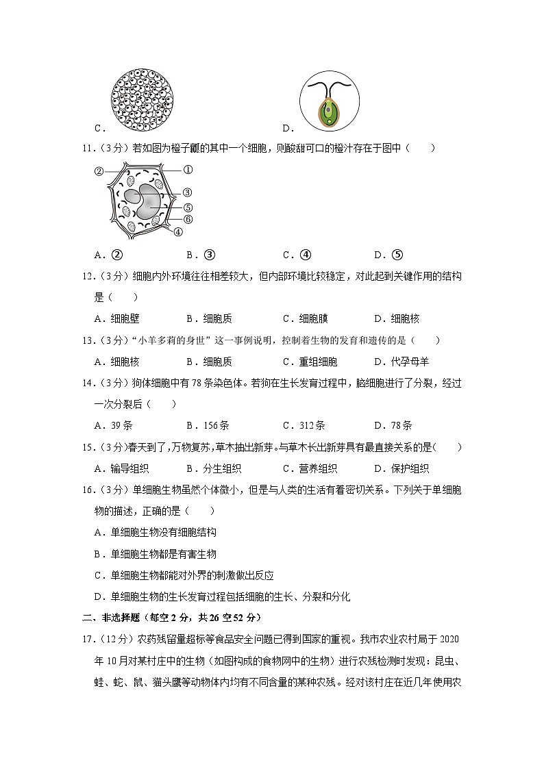 广西贺州市昭平县2023-2024学年七年级上学期期中生物试卷03