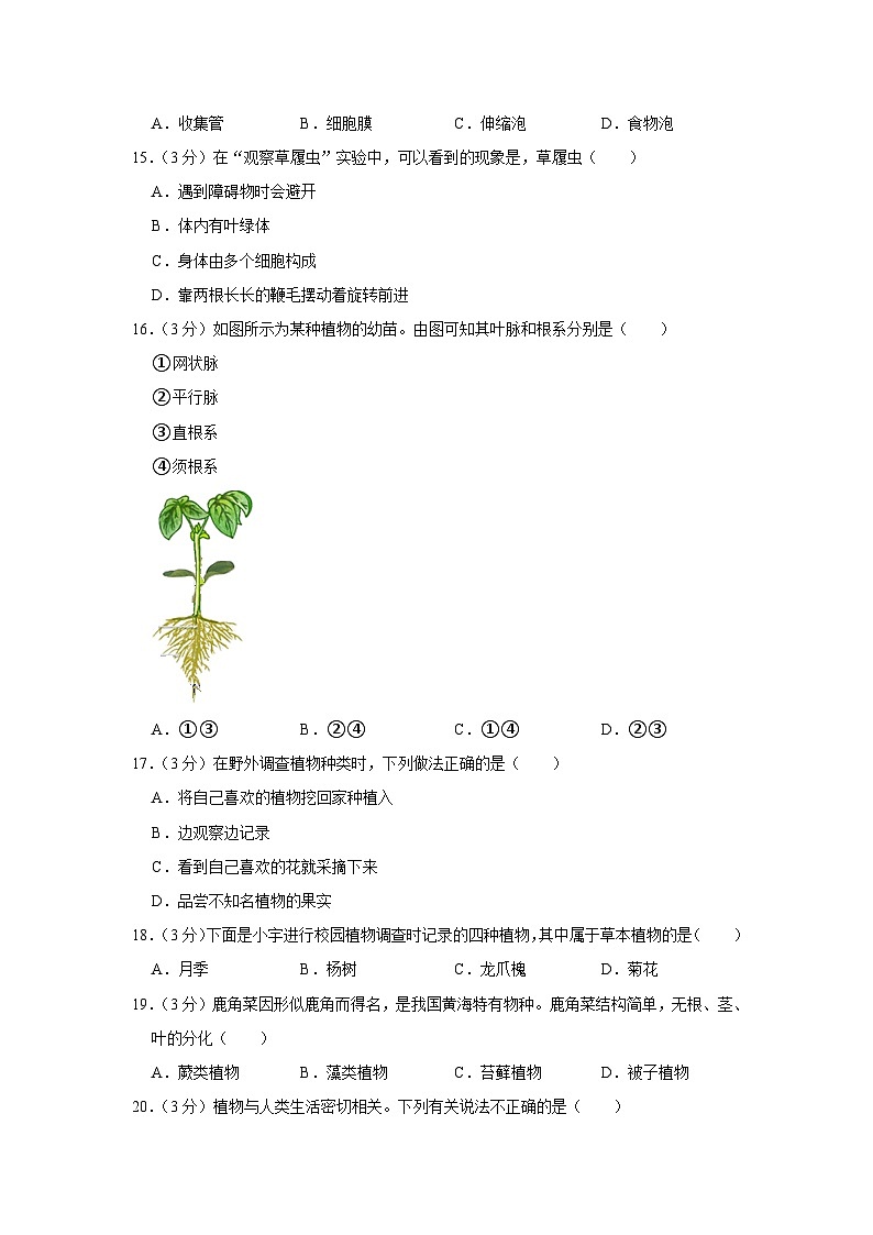 河北省邢台市威县三中2023-2024学年七年级上学期期中生物试卷03