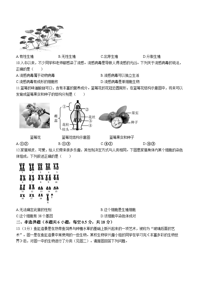 辽宁省沈阳市和平区2023-2024学年八年级上学期期末考试生物试题02
