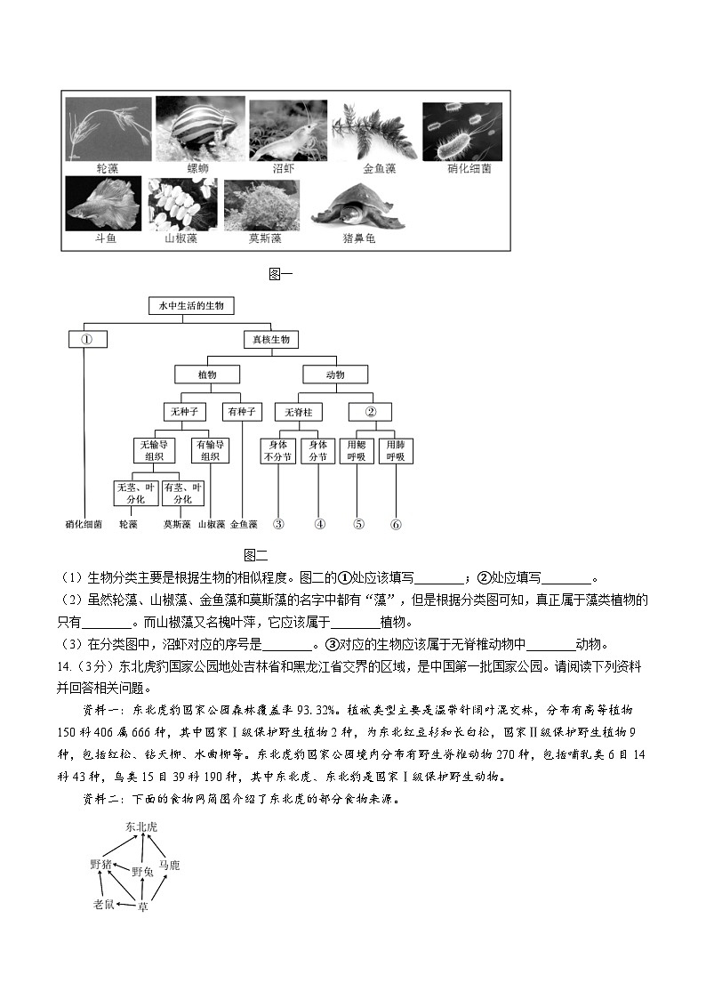 辽宁省沈阳市和平区2023-2024学年八年级上学期期末考试生物试题03