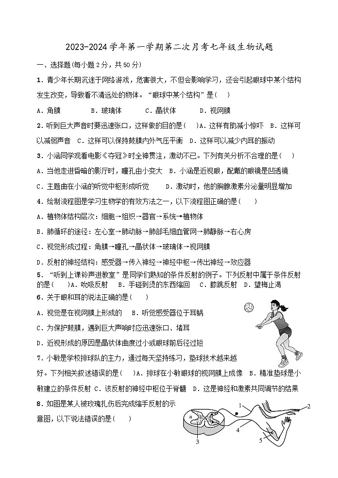 山东省东营市利津县2023-2024学年七年级上学期12月份月考生物试题01
