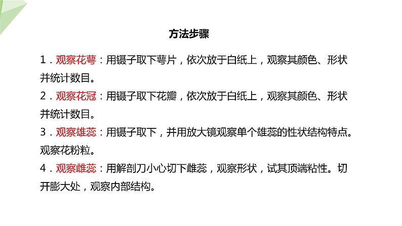 1.1 花的结构和类型 课件 2023-2024学年初中生物济南版八年级上册07