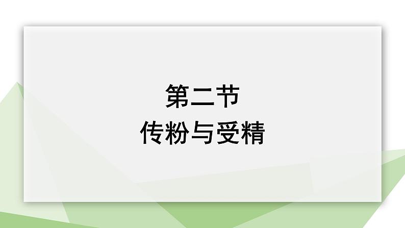 1.2 传粉与受精 课件 2023-2024学年初中生物济南版八年级上册01