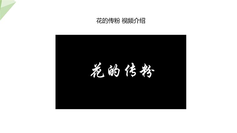 1.2 传粉与受精 课件 2023-2024学年初中生物济南版八年级上册07