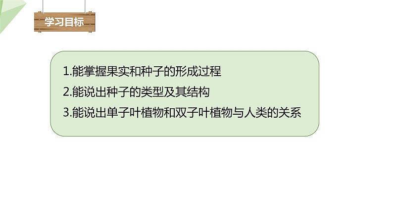 1.3 果实和种子的形成 课件 2023-2024学年初中生物济南版八年级上册02