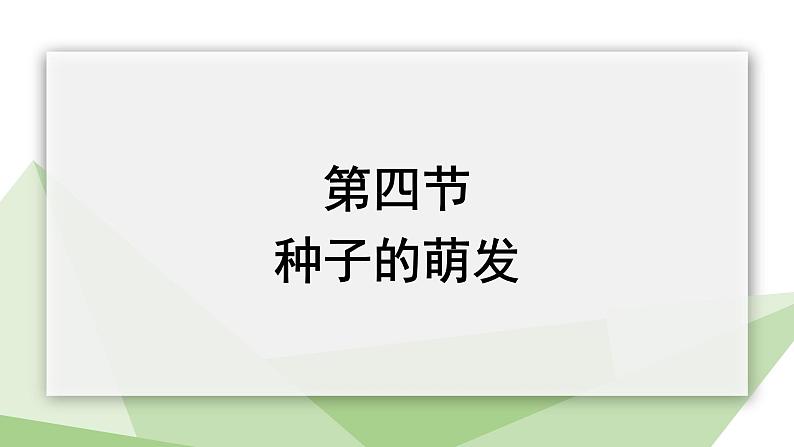 1.4 种子的萌发 课件 2023-2024学年初中生物济南版八年级上册01