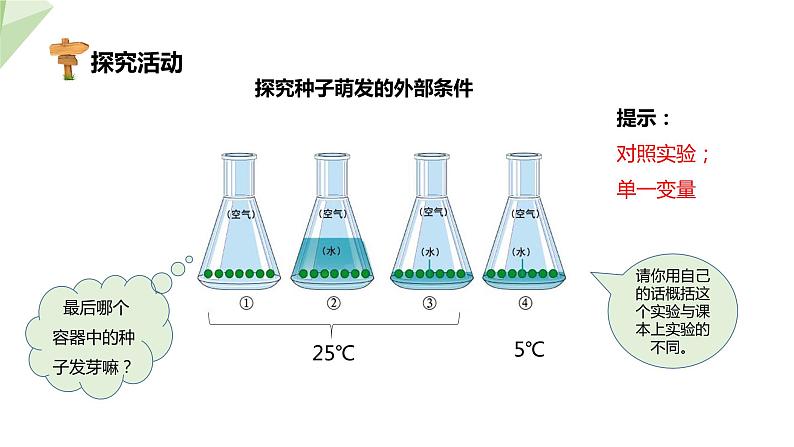 1.4 种子的萌发 课件 2023-2024学年初中生物济南版八年级上册05