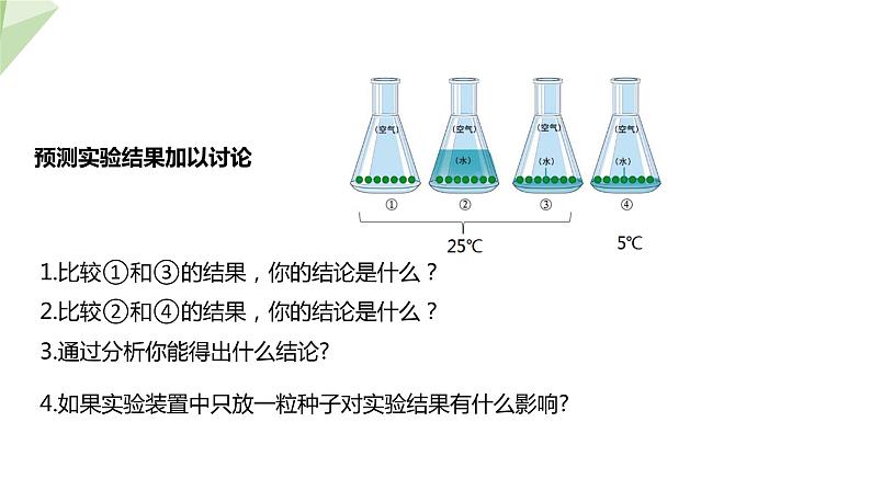 1.4 种子的萌发 课件 2023-2024学年初中生物济南版八年级上册06