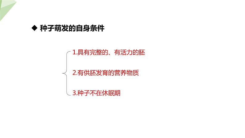 1.4 种子的萌发 课件 2023-2024学年初中生物济南版八年级上册08