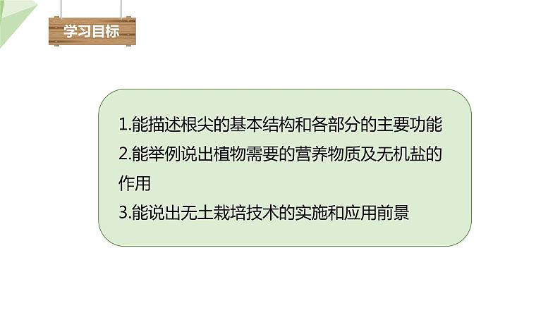 1.5 根的结构与功能 课件 2023-2024学年初中生物济南版八年级上册第2页