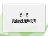 2.1 昆虫的生殖和发育 课件 2023-2024学年初中生物济南版八年级上册