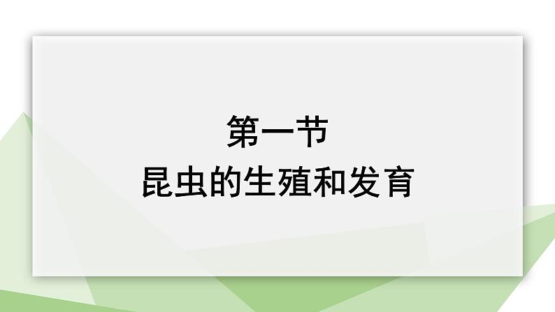 2.1 昆虫的生殖和发育 课件 2023-2024学年初中生物济南版八年级上册01